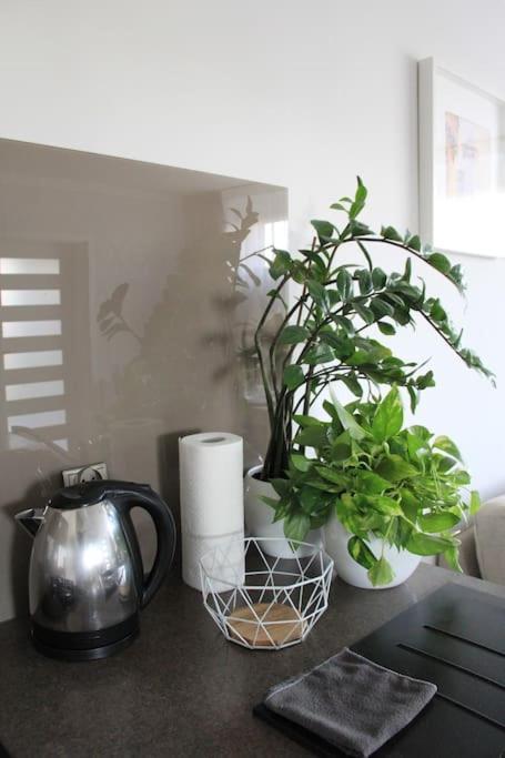 Uroczy, Jasny Apartament Oraz Bezplatny Parking! Appartement Krakau Buitenkant foto