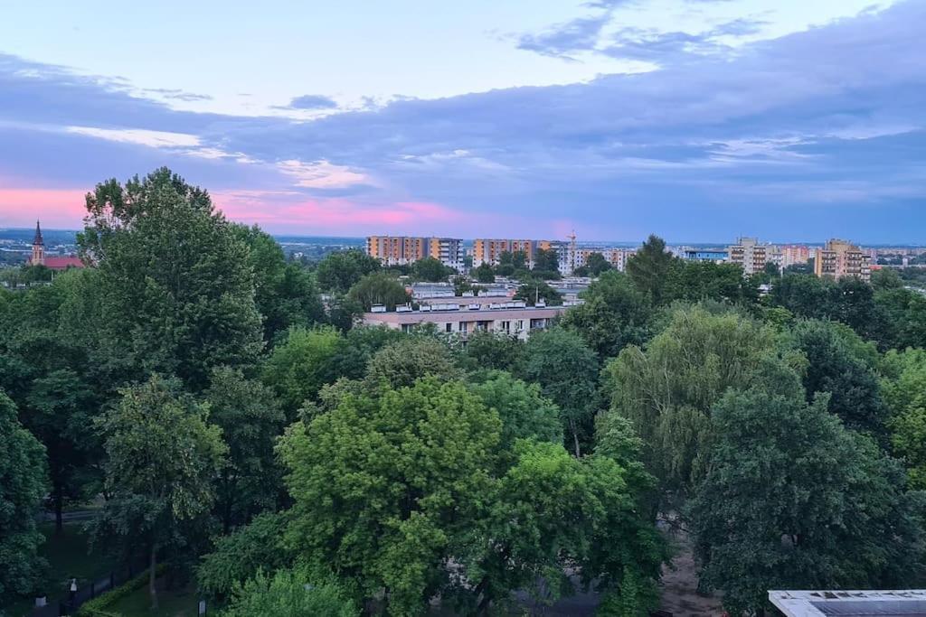 Uroczy, Jasny Apartament Oraz Bezplatny Parking! Appartement Krakau Buitenkant foto