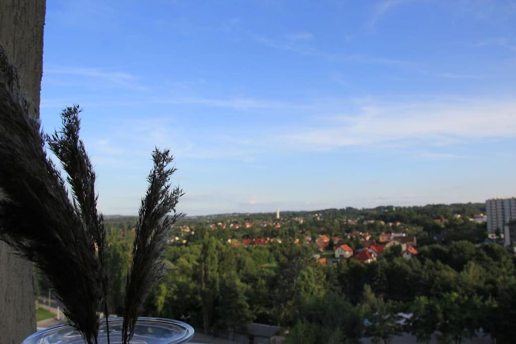 Uroczy, Jasny Apartament Oraz Bezplatny Parking! Appartement Krakau Buitenkant foto