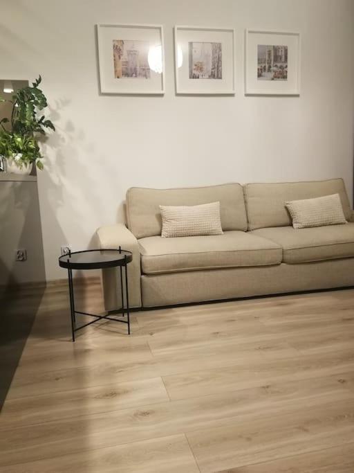 Uroczy, Jasny Apartament Oraz Bezplatny Parking! Appartement Krakau Buitenkant foto